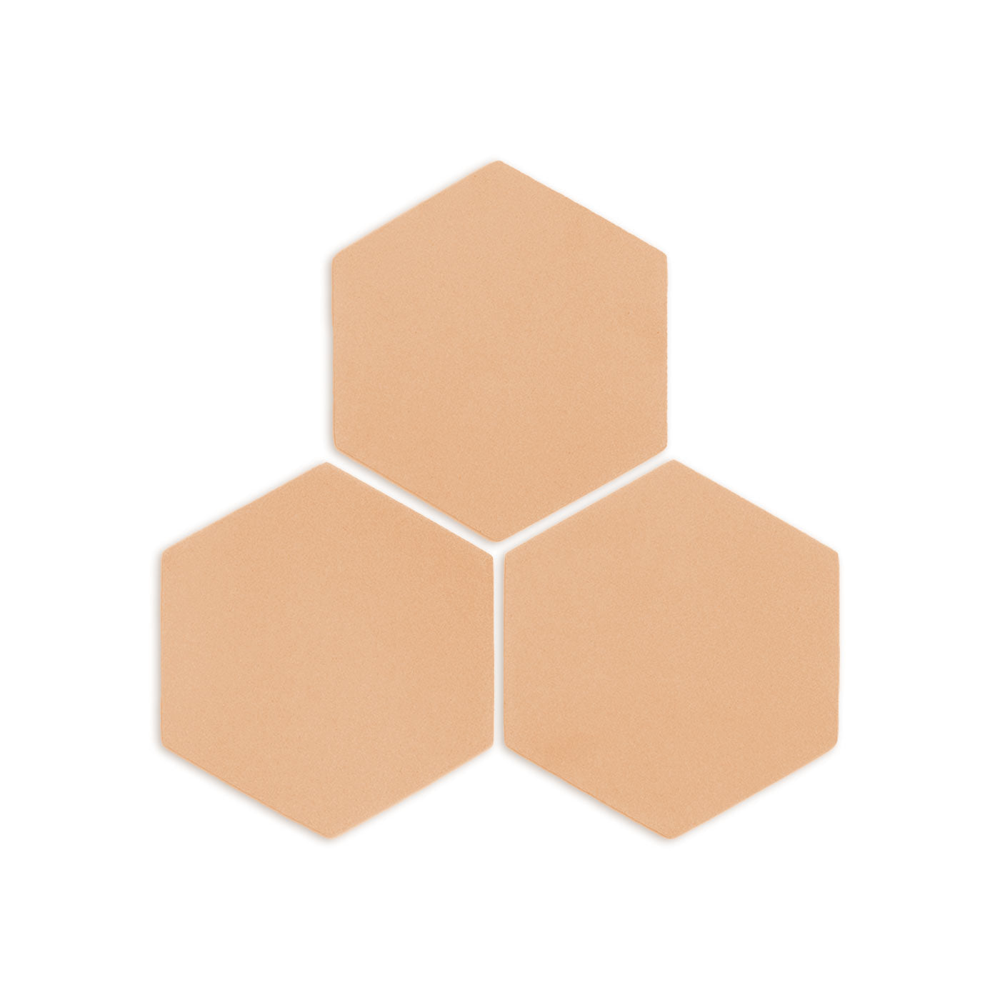 Hexagon Beehive 6