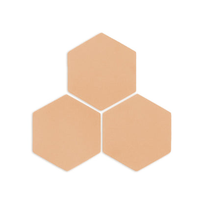 Hexagon Beehive 6