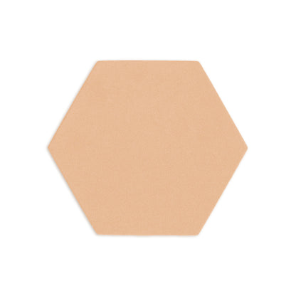 Hexagon Beehive 6