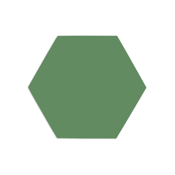 Hexagon Cacti 4"