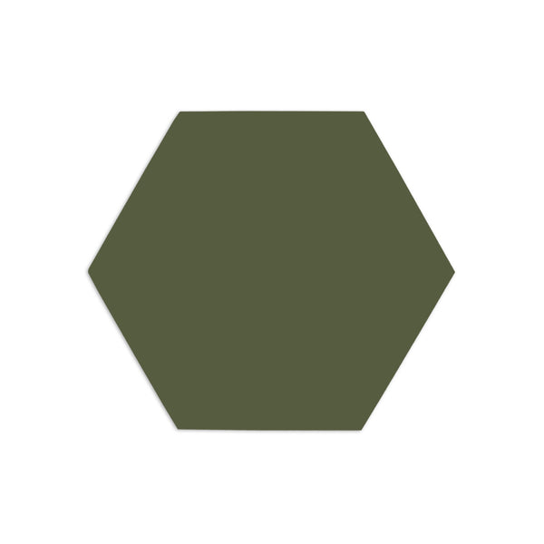 Hexagon Moss 4"