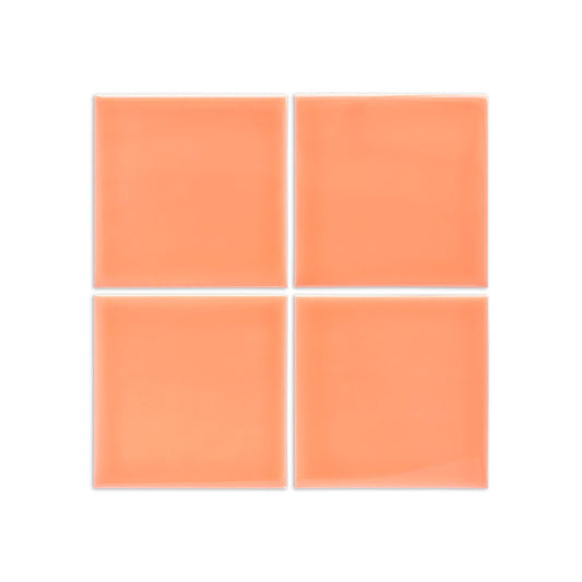 Wildflower Gloss 4x4