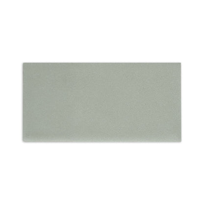 Rectangular Agave clay tile by Clay Imports with a subtle matte texture.