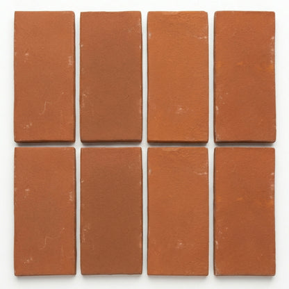 Reddish-brown 4x8 Cotto tiles by Clay Imports, arranged in two rows with a matte, slightly textured surface.