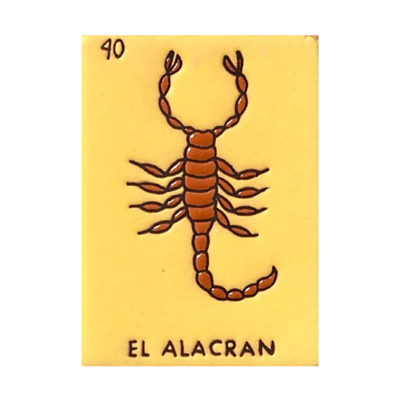 Harry Potter Loteria, Traditional Loteria Mexicana Game of Chance, Bingo  Style
