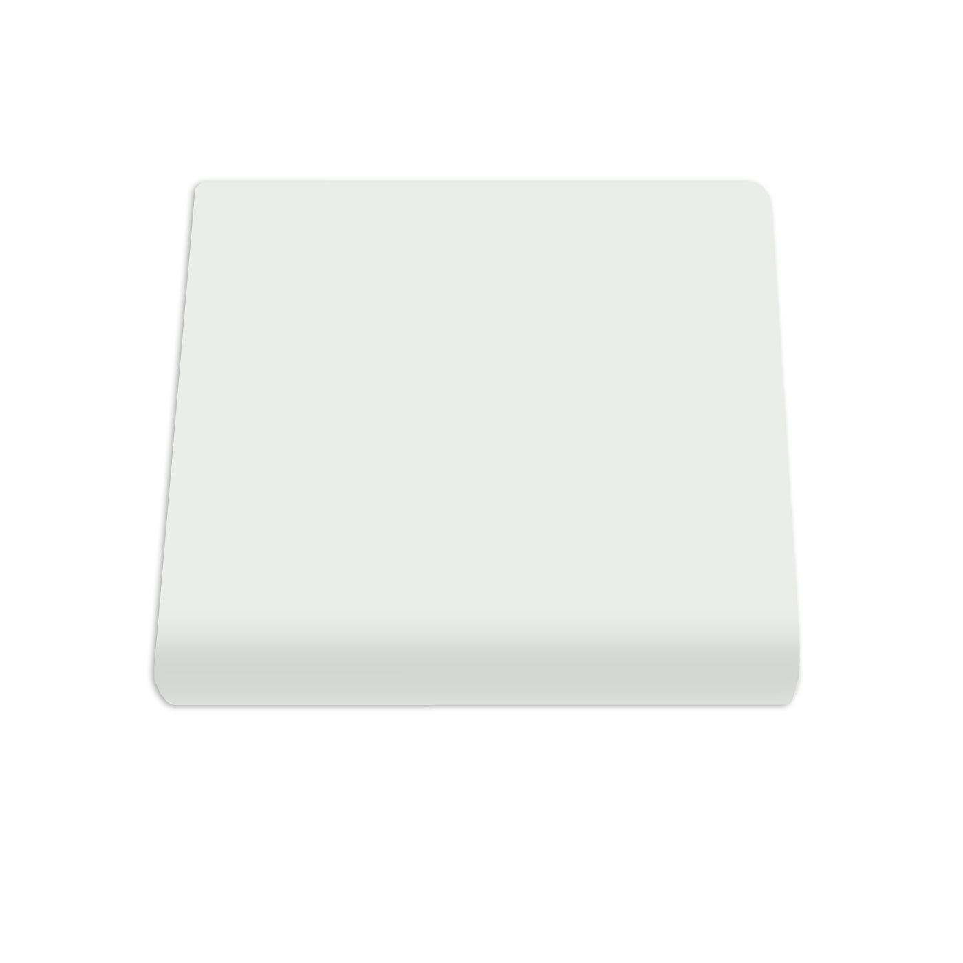 Single Bullnose Fog Matte Tile 4"x4"