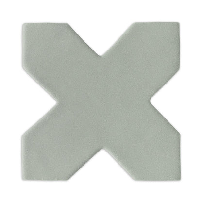 Star & Cross Agave 6