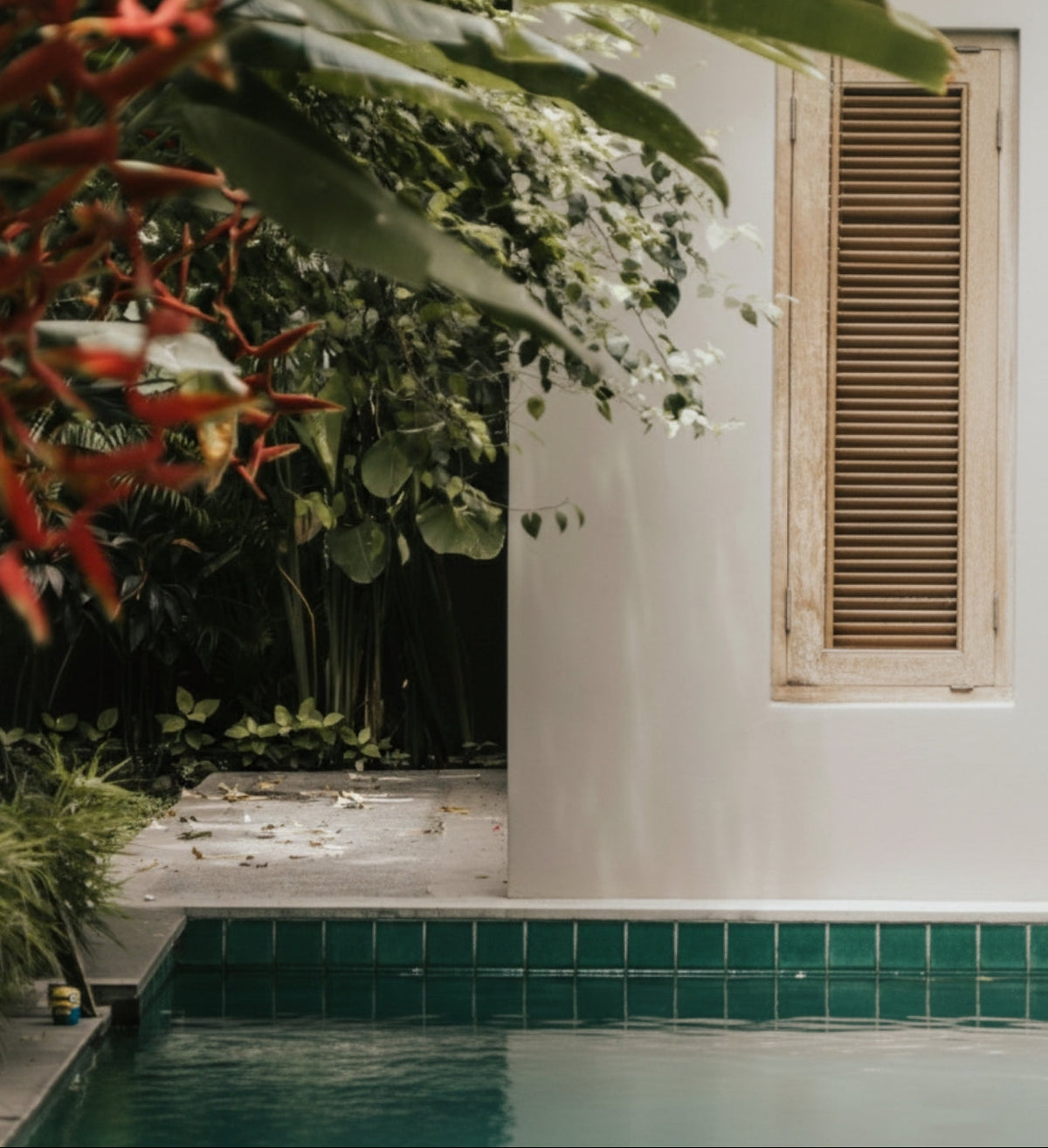 Green Glazed Cotto Pool Waterline Tiles by Clay Imports, accenting a modern pool with white walls and lush tropical plants.