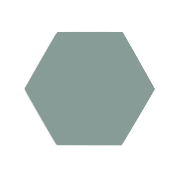 Hexagon Agave 6"