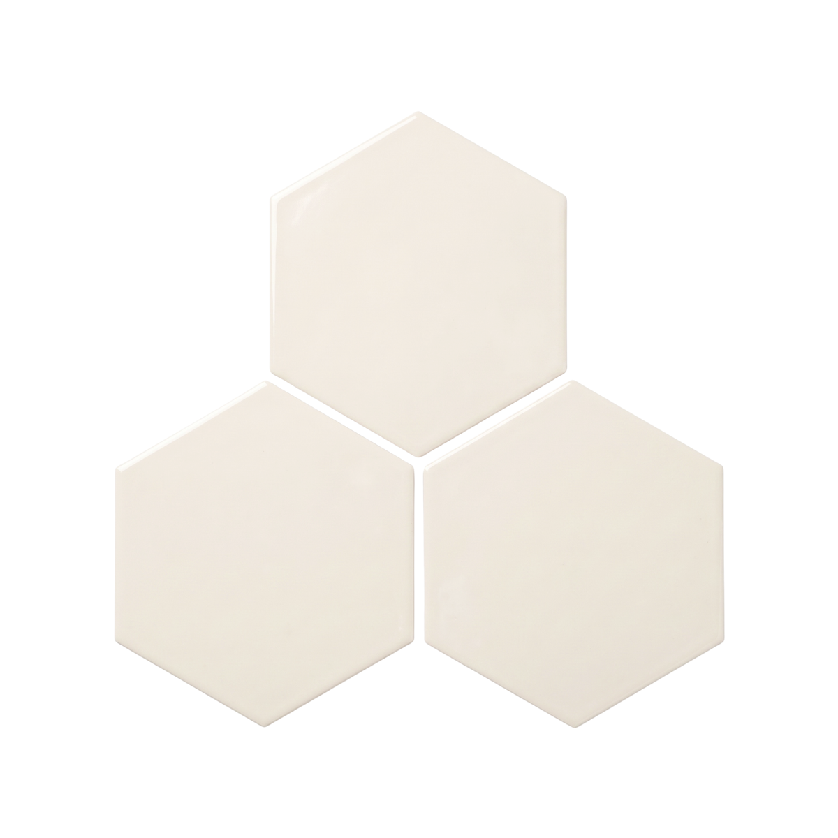 Fossil Hexagon 6