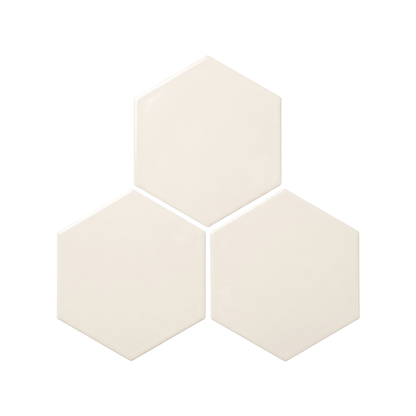 Fossil Hexagon 6