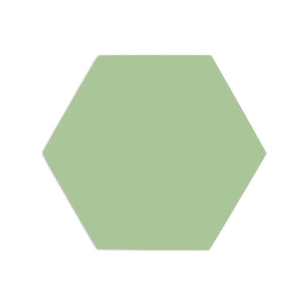 Hexagon Maguey 6"