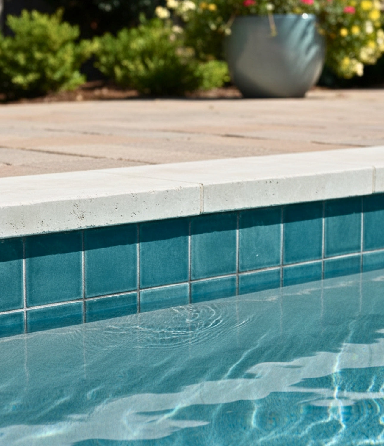 Glazed Cotto Midnight 6x6