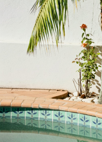 Relief Bayas Jade Pool Waterline