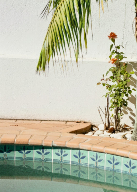 Relief Bayas Jade Pool Waterline