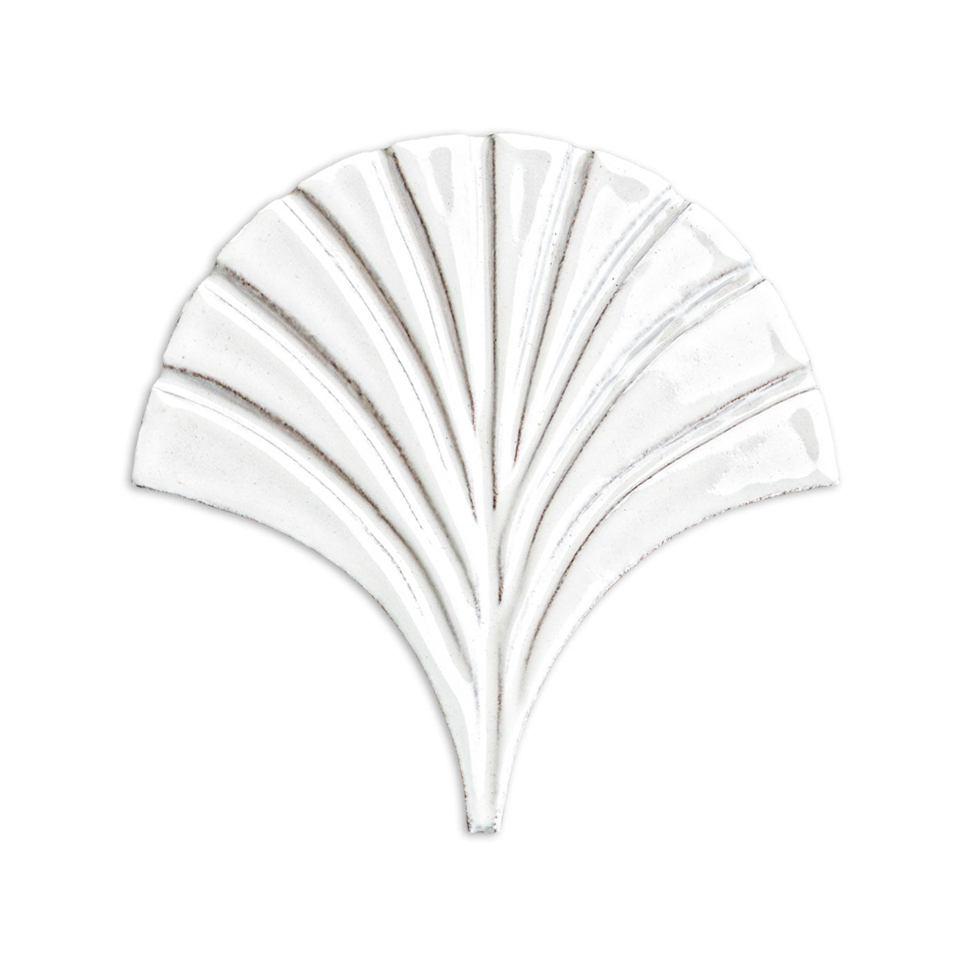White, glossy fan-shaped glazed terracotta tile by Clay Imports, featuring raised, radiating segments and subtle brown outlines.