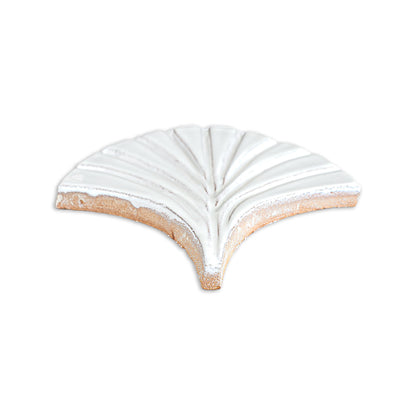 Glazed Terracotta tile in Perla Gloss white by Clay Imports, fan-shaped with a ribbed design and exposed terracotta edge.