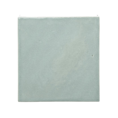 Horizon Arctic Gloss 6x6