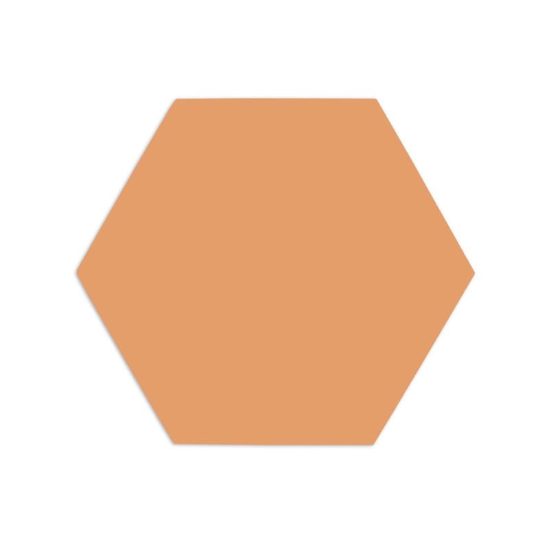Hexagon Beehive 6"