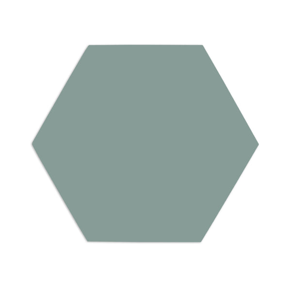 Hexagon Agave 8"