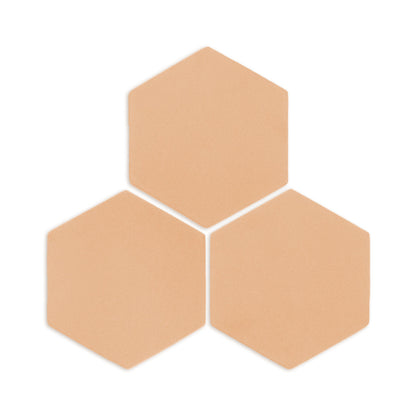 Hexagon Beehive 8