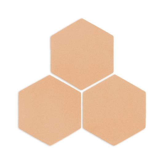 Hexagon Beehive 8