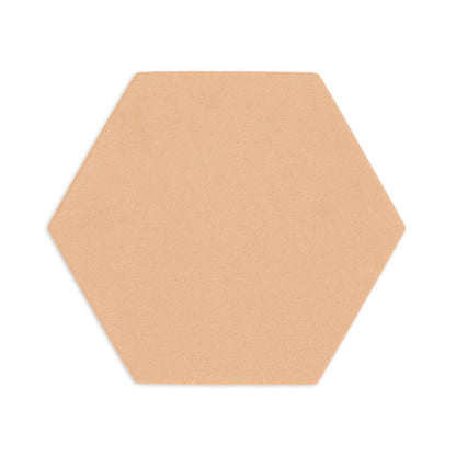 Hexagon Beehive 8