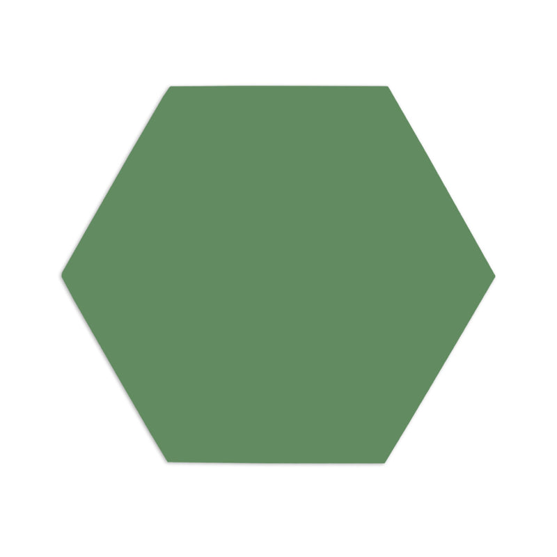 Hexagon Cacti 8"