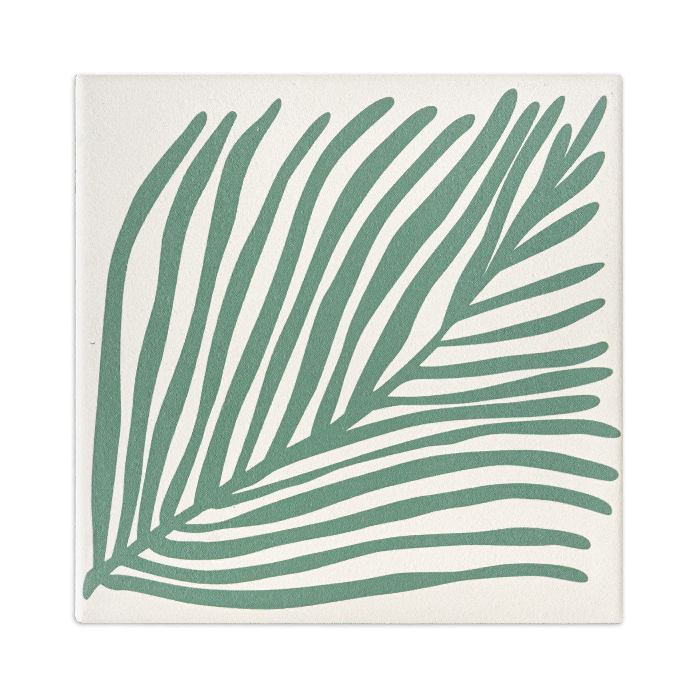 Square sample tile by Clay Imports with a minimalist aloe vera green palm leaf design on a textured cream background.