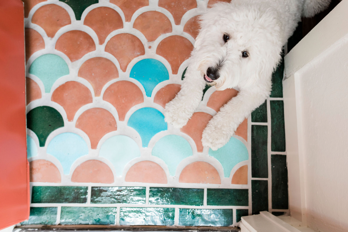 Design Kim Wolfe | Photo  Madeline Harper