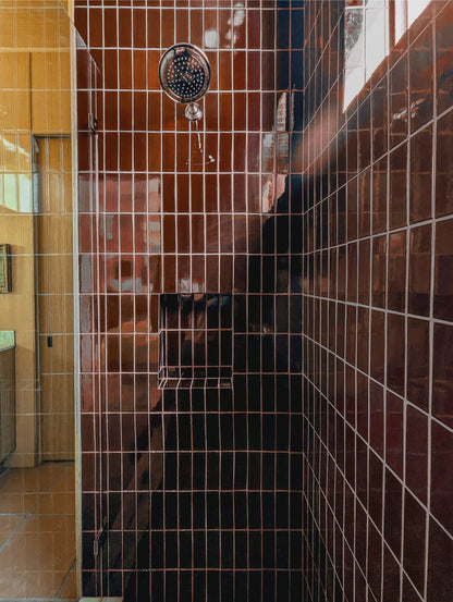 A close-up view of a tiled shower area with glossy dark red-brown wall tiles, a white grout grid pattern, and a round chrome shower head.