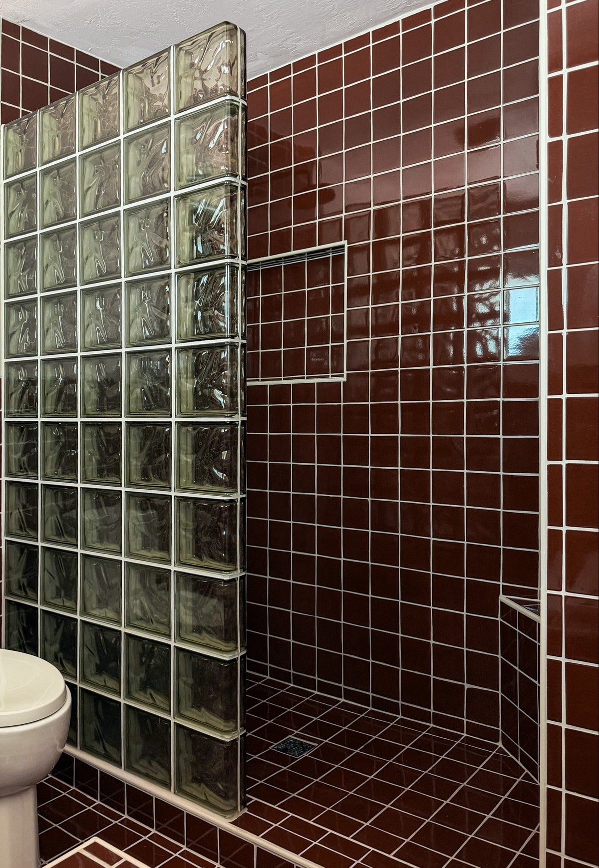 A bathroom interior with dark reddish-brown glossy tile walls and floor, a white toilet on the left, and a glass block partition wall separating the shower area.