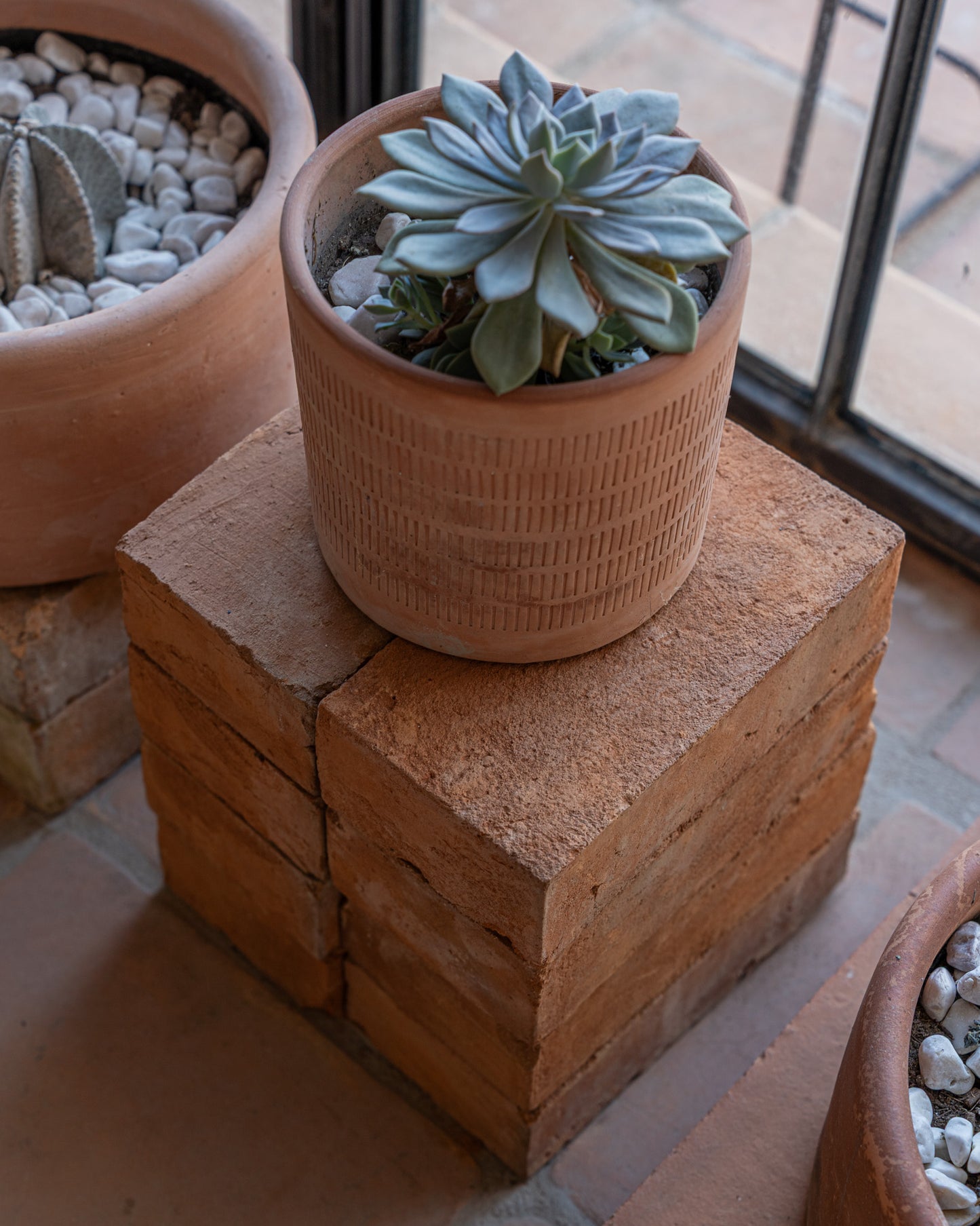 Oaxaca Etched Terracotta Planters