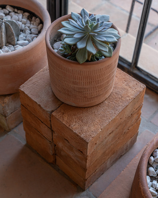 Oaxaca Etched Terracotta Planters