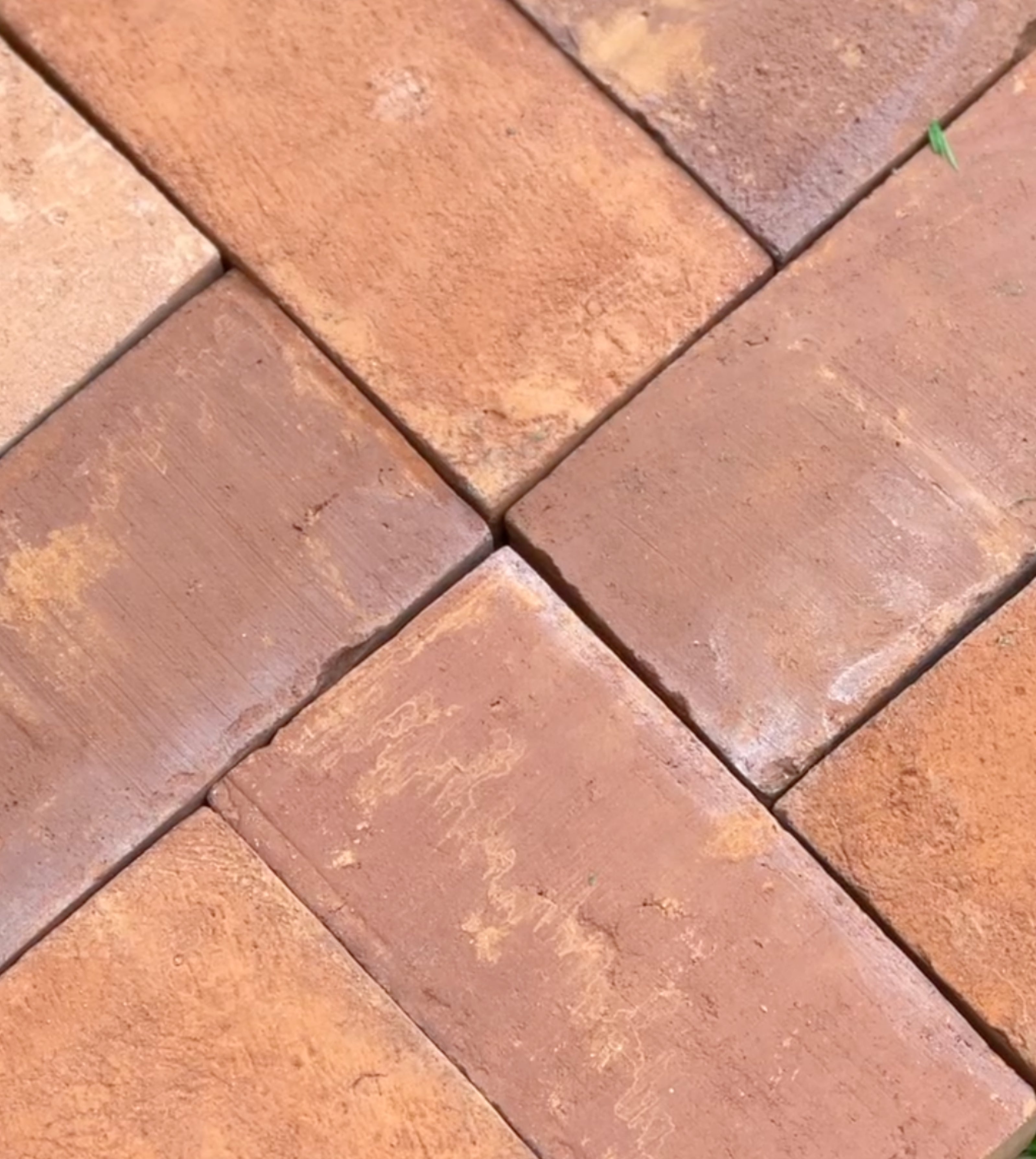 Baked Terracotta Paver 5