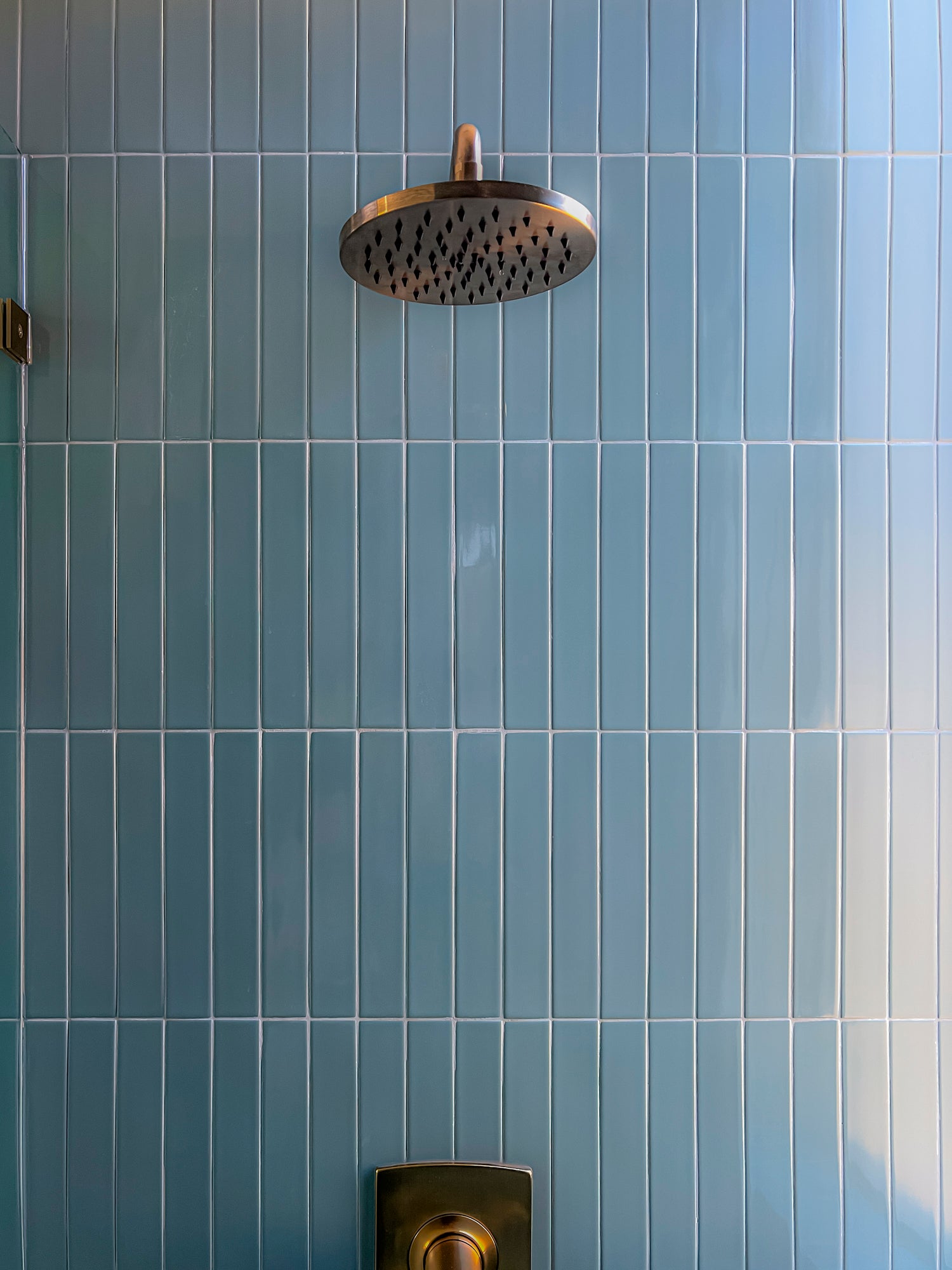 Dragonfly Gloss 2x12