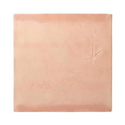 Dog Paw | Chicken Foot Terracotta 12 x 12