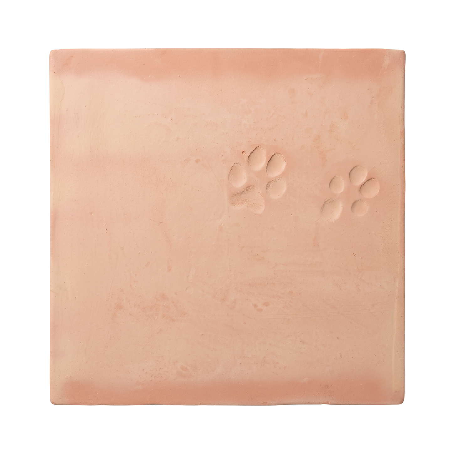 Dog Paw | Chicken Foot Terracotta 12 x 12