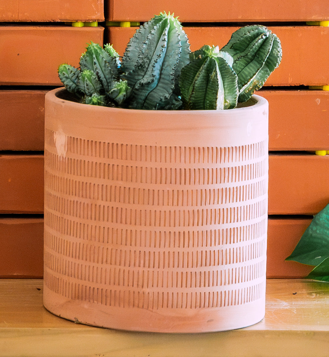 Oaxaca Etched Terracotta Planters