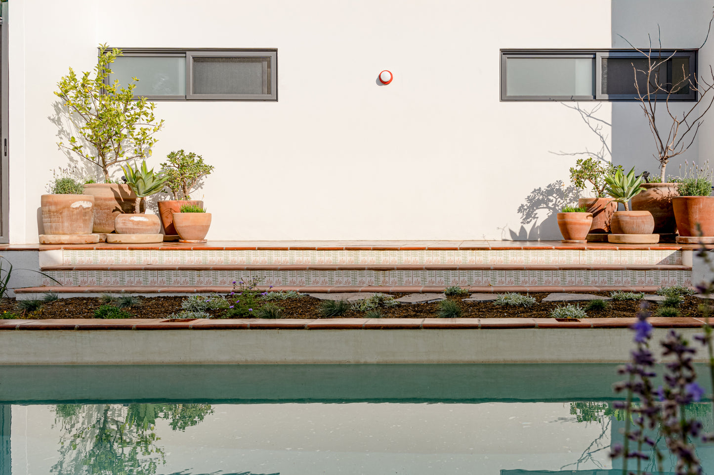 Fandango White Chicle 8x8