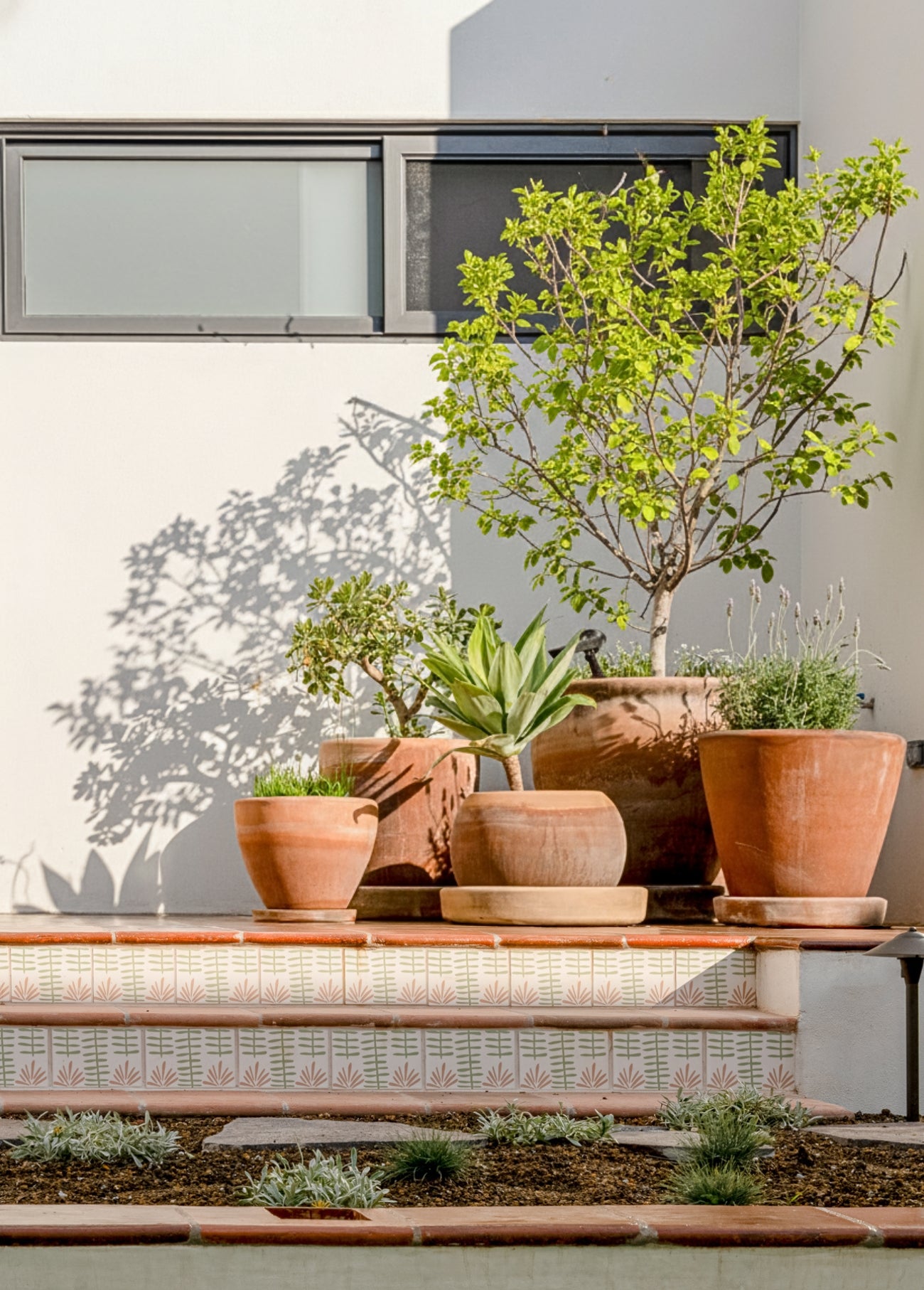 Fandango White Chicle 8x8