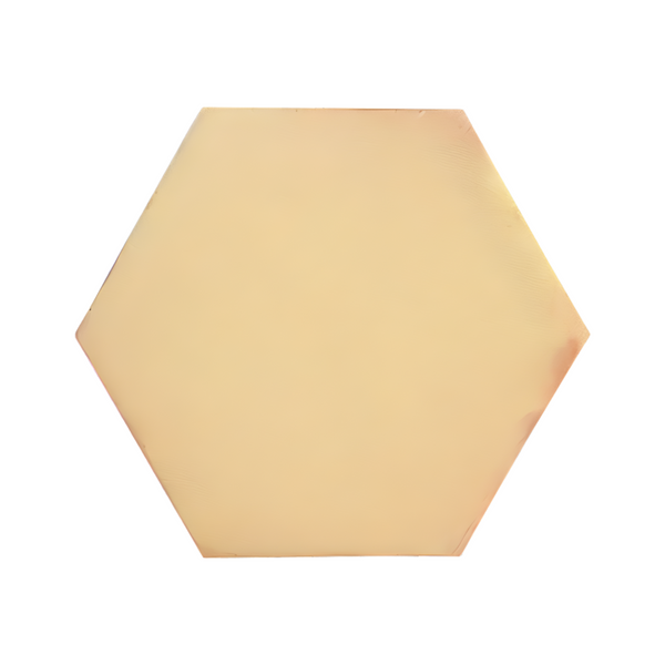 [Sample]  Hexagon Smooth Matte 12"