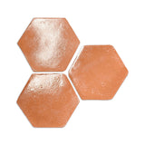 Hexagon Smooth Gloss 4"