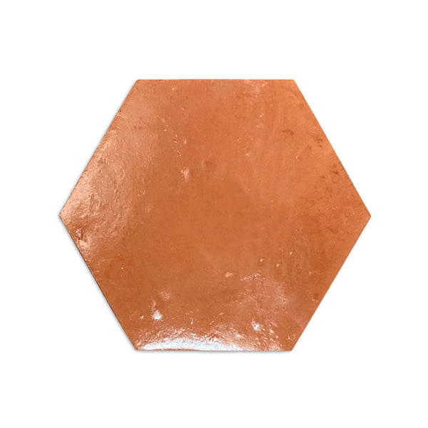 [Sample] Hexagon Smooth Gloss 6"