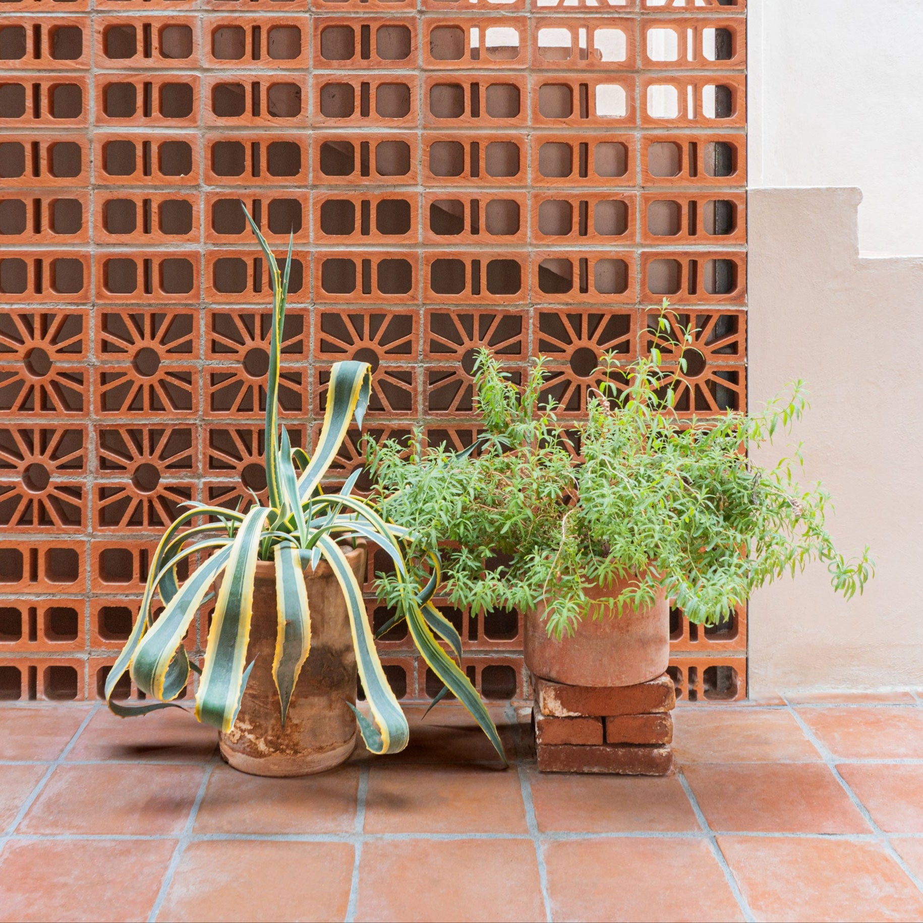 terracotta half plant pots Oaxaca Terracotta Planters – Clay Imports