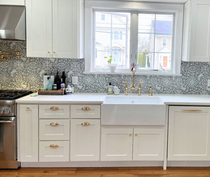 Jardín de Luna Rabbit Agave 8x8