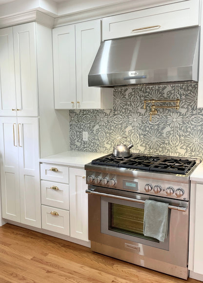 Jardín de Luna Rabbit Agave 8x8