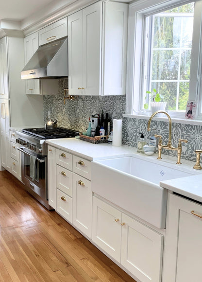 Jardín de Luna Deer Agave 8x8