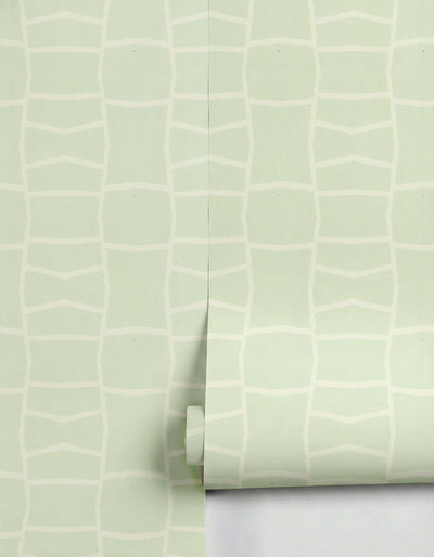 Light green wallpaper by Clay Imports featuring an irregular cream grid pattern, partially unrolled.