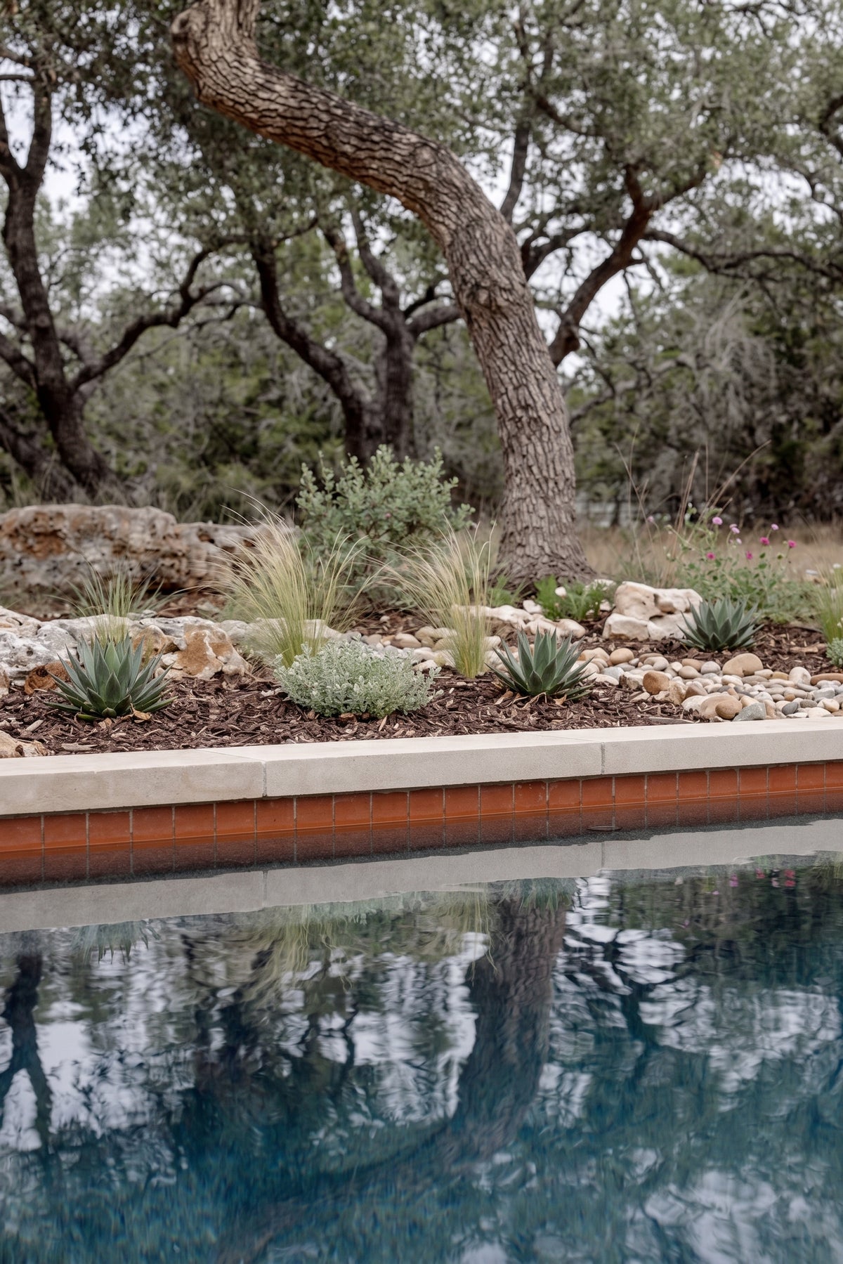 Mamey Pool Waterline 2x6